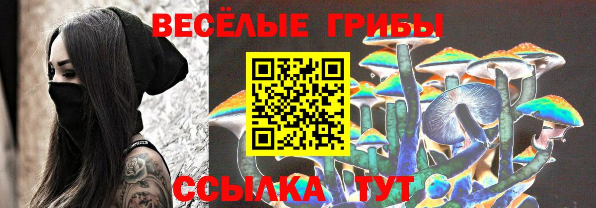 Псилоцибиновые грибы GOLDEN TEACHER Нурлат
